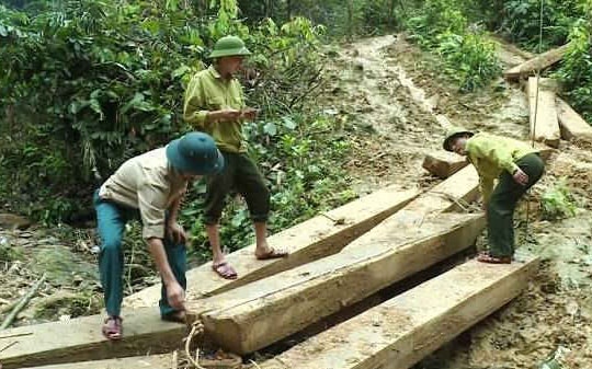 Bí thư Tỉnh ủy Quảng Bình chỉ đạo làm rõ trách nhiệm, xử lý nghiêm vụ phá rừng tại Tuyên Hóa