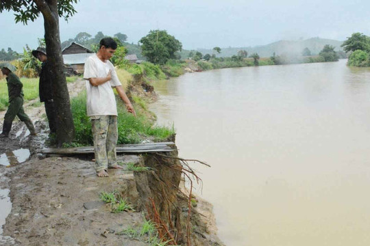 Đắk Lắk: Sạt lở bờ sông người dân mất đất