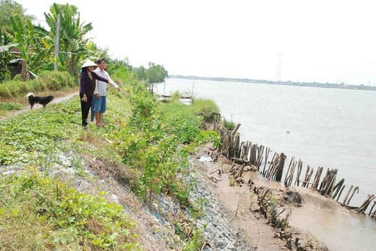 Bến Tre: Cát tặc ngang nhiên lộng hành