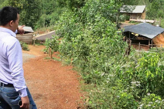 Đắk Nông: Kỷ luật khiển trách Ban thường vụ Huyện ủy Đắk G’Long liên quan đến sai phạm về quản lý đất rừng