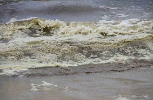 Đà Nẵng: Phát hiện tảo giáp là nguyên nhân gây ô nhiễm nước biển ở bãi biển Nguyễn Tất Thành