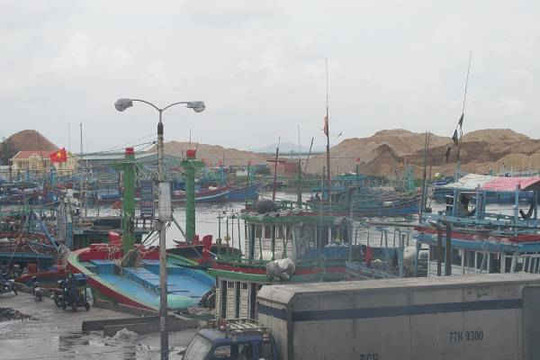 Bình Định: Công ty CP Tân Cảng Quy Nhơn bị “tuýt còi” vì đổ đá, xà bần xuống biển