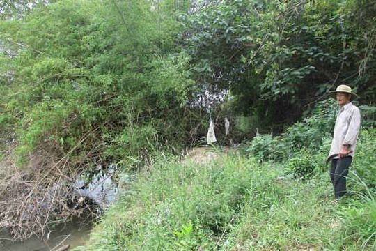 Phú Yên: Sông Ba “nuốt” đất sản xuất, lấn sâu vào đất nhà dân 500m