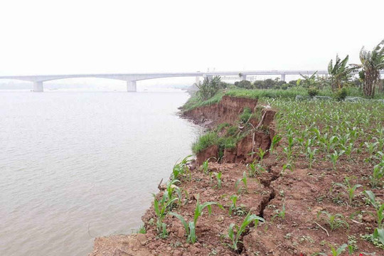 UBND tỉnh Hưng Yên chỉ đạo kiểm tra, xử lý nghiêm vụ cát tặc lộng hành làm sạt lở đất nông nghiệp
