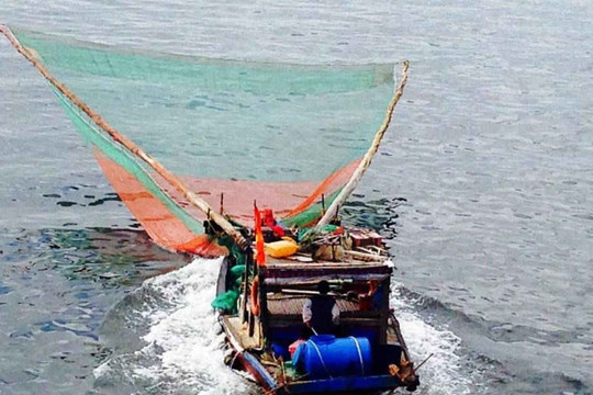 Quảng Bình sẽ xử nghiêm tàu giã cào khai thác hải sản theo kiểu tận diệt