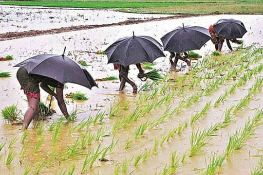 Ấn Độ sẽ đón lượng mưa trung bình trong năm 2018