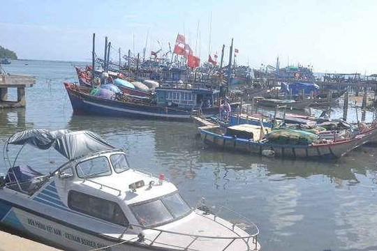 Quảng Ngãi: Thành lập Trung tâm Đăng kiểm tàu cá
