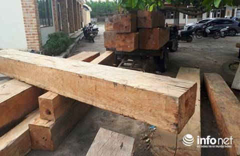 Đắk Lắk: Lại phát hiện thêm hàng chục khối gỗ bị đốn hạ trong rừng Ea Kar