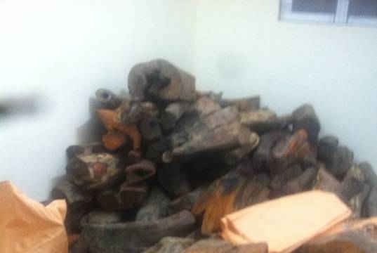 Quảng Nam: Bắt vụ vận chuyển gần 2 tấn gỗ trắc nhập lậu
