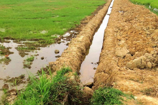 Quảng Nam: Dừng thực hiện phương án cải tạo đồng ruộng có kết hợp tận thu khoáng sản