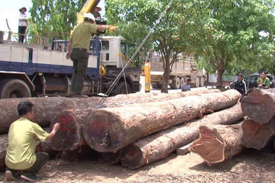 Đắk Lắk: Đình chỉ công tác 4 lãnh đạo Đồn Biên phòng liên quan đến vụ gỗ lậu do Phượng Râu cầm đầu