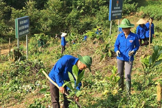 Tuổi trẻ Điện Biên đẩy mạnh hoạt động bảo vệ môi trường