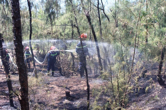 Quảng Nam: Khống chế kịp thời cháy rừng thông Tam Tiến