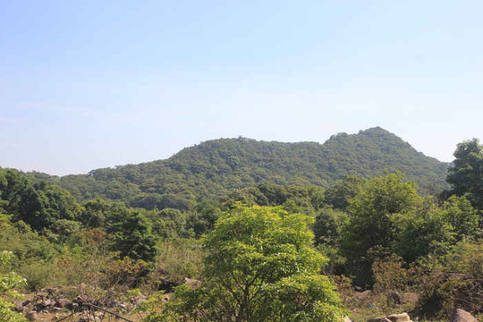 Quảng Trị thành lập Tổ chốt chặn bảo vệ rừng cấp tỉnh