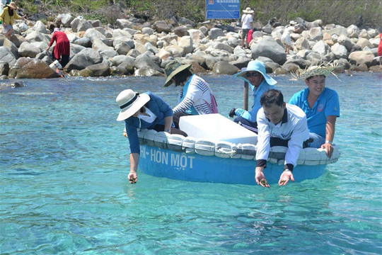 Thả 2.400 con cá giống, hải sâm tái tạo nguồn lợi thủy sản vịnh Nha Trang
