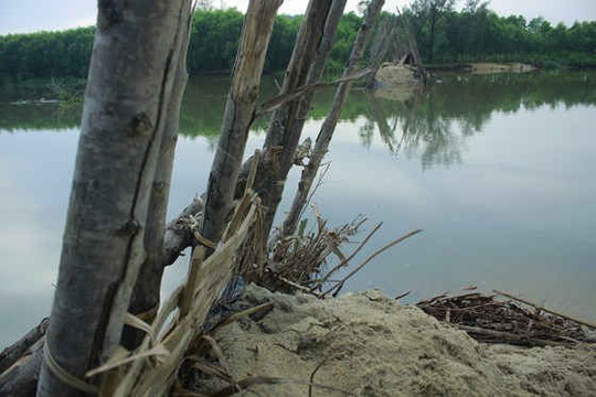 Vỡ đập ngăn mặn trên sông Trà Bồng