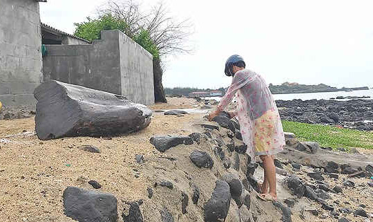 Gần 100 hộ dân huyện đảo Phú Quý nguy cơ bị biển xâm thực