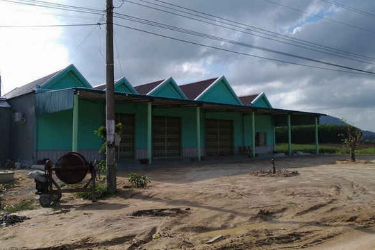 Đắk Lắk: Cần sớm xử lý tình trạng lấn chiếm xây nhà trên đất lâm nghiệp
