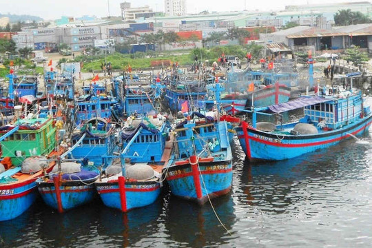 Đà Nẵng: Giảm thiểu ô nhiễm môi trường tại cảng cá lớn nhất miền Trung