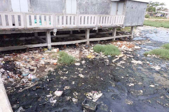Thừa Thiên Huế: Cảng cá Thuận An ô nhiễm nặng