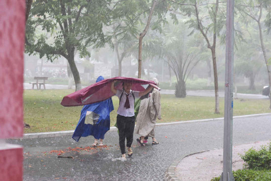 Huế: Cảnh báo giông sét, mưa lớn trong kỳ thi tốt nghiệp THPT