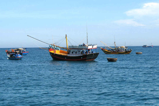 Quảng Bình: Hỗ trợ hơn 65,3 tỷ đồng khai thác hải sản vùng biển xa