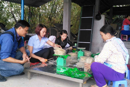 Quảng Nam: Tháo gỡ khó khăn cho các HTX Nông nghiệp