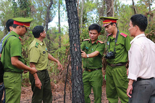 Thừa Thiên Huế: Liên tiếp xảy ra nhiều vụ cháy rừng “bí ẩn”