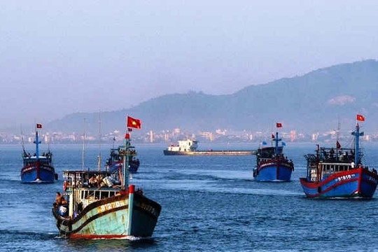 Quảng Ngãi: Cần có chế tài mạnh để hạn chế tình trạng ngư dân khai thác hải sản bất hợp pháp