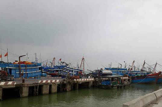 Thanh Hóa- Nghệ An: Hai ngư dân mất tích, tàu thuyền khẩn trương vào bờ tránh trú bão