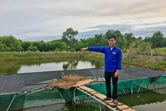 Chàng thanh niên từ bỏ lương cao về nuôi cá Chình kiếm hàng trăm triệu mỗi năm