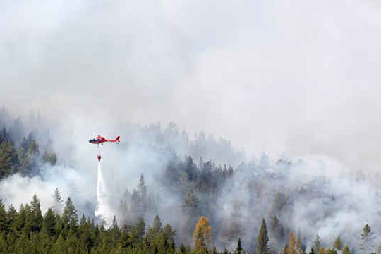 Cháy rừng bùng nổ ở Vòng Bắc Cực khi Thụy Điển kêu gọi giúp đỡ