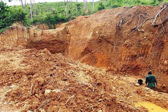 Không xuất khẩu quặng nguyên khai, tinh quặng vàng, đồng