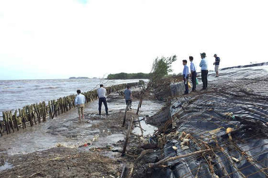 Khẩn cấp cứu hộ đê biển Tây tỉnh Cà Mau