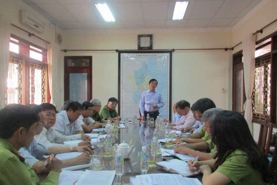 Vụ khai thác rừng trái phép tại Bình Định: Khai thác có tổ chức vì mục đích kinh doanh