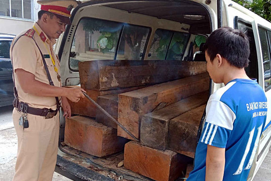 Quảng Nam: Tài xế vận chuyển gỗ lậu lại không có giấy phép lái xe