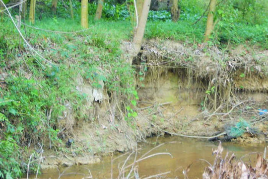 An Lão (Bình Định): Suối sạt lở cuốn trôi đất sản xuất nông nghiệp