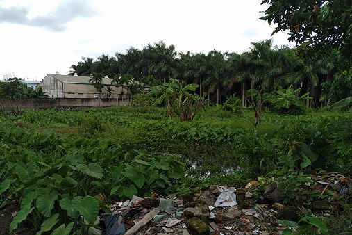 TP. Hải Dương: Chợ Tân Bình bỏ hoang cho cỏ dại