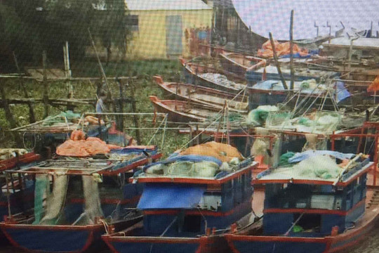 Thái Bình: Tập trung  kêu gọi, tổ chức neo đậu tàu thuyền vào nơi an toàn, tránh bão số 4