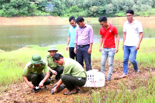 Quảng Ninh: Thả động vật hoang dã về tự nhiên