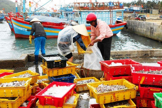 Phù Cát (Bình Định): Siết chặt tình trạng tàu cá vi phạm lãnh hải nước ngoài