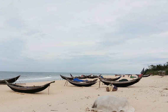 Thừa Thiên - Huế: Trích gần 12 tỷ đồng mua BHYT cho đối tượng bị ảnh hưởng bởi sự cố môi trường biển