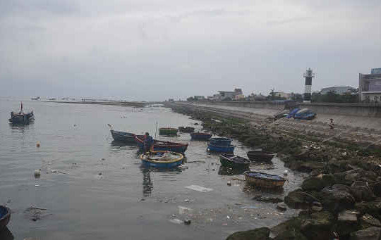 Quảng Ngãi: Xử lý tình trạng rác thải dạt vào bờ biển tại Lý Sơn