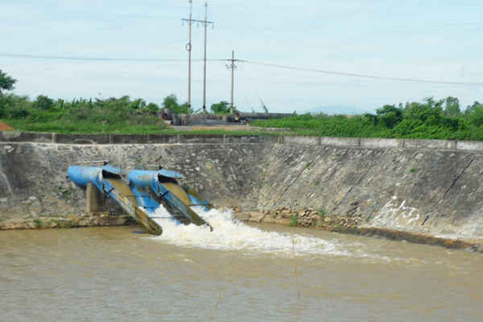Đà Nẵng: Đề nghị giải cứu nước nhiễm mặn