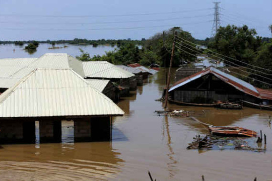 Nigeria: 100 người thiệt mạng do lũ lụt tại 10 tiểu bang