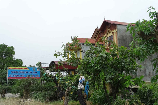 Ân Thi (Hưng Yên): Nhiều công trình kiên cố xây dựng trên đất bất hợp pháp tại xã Đào Dương