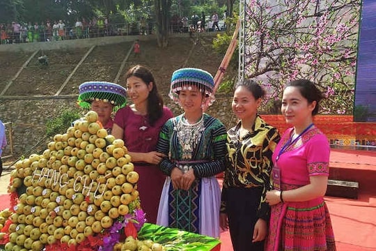 Công bố nhãn hiệu Táo Sơn tra Sơn La