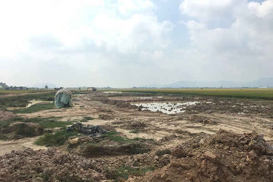 Triệu Sơn (Thanh Hóa): Cần xử lý nghiêm việc “lợi dụng” hạ thấp độ cao, cải tạo đồng ruộng để khai thác đất sét trái phép