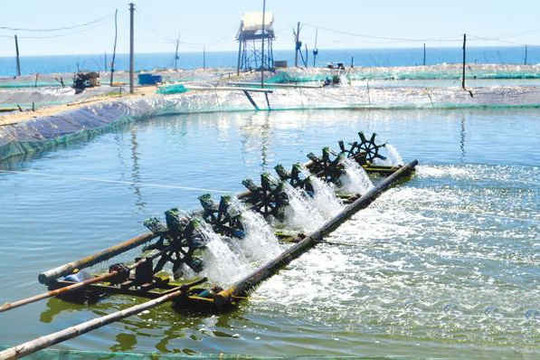 Tăng cường bảo vệ nước ngầm tại Việt Nam