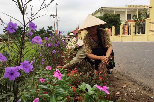 Hải Phòng: Tuyến đường hoa làm đẹp cảnh quan, môi trường khu dân cư